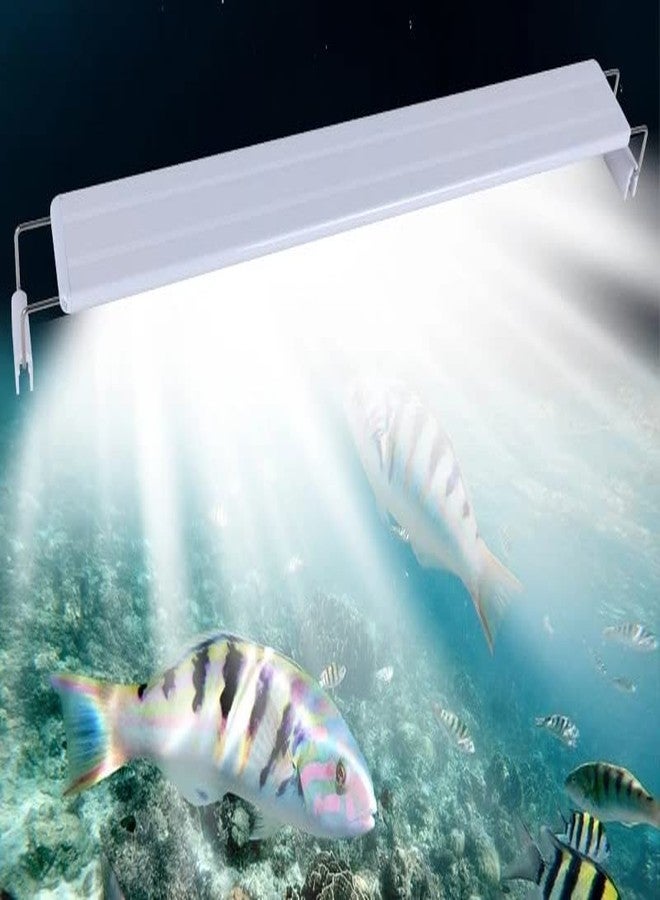 VAYINATO® RS-T600 Suits for 60~70cm Tank Aquarium Ultra Thin Design Fish Tank Aquatic Plant Grow Waterproof Bright LED Light Clip Lamp (Blue+White) by Petzlifeworld - Image 1
